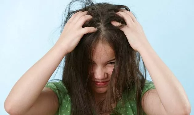 How to Prevent Lice Eggs From Hatching in the Hair?