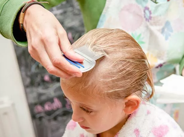 How to Get Rid of Head Lice With Salt?