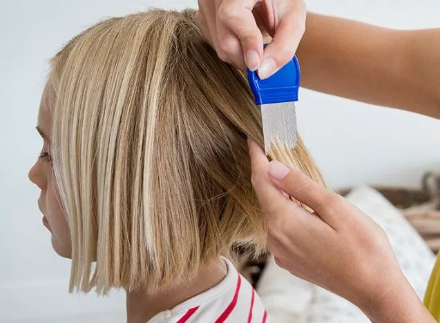 How to Remove Lice From Hair Permanently at Home?