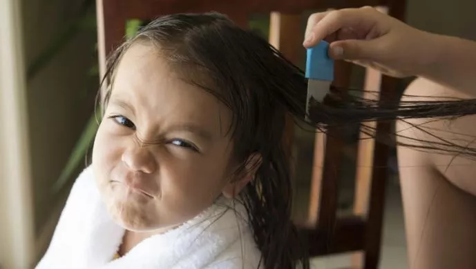 Best Head Lice Treatment For Long Thick Hair