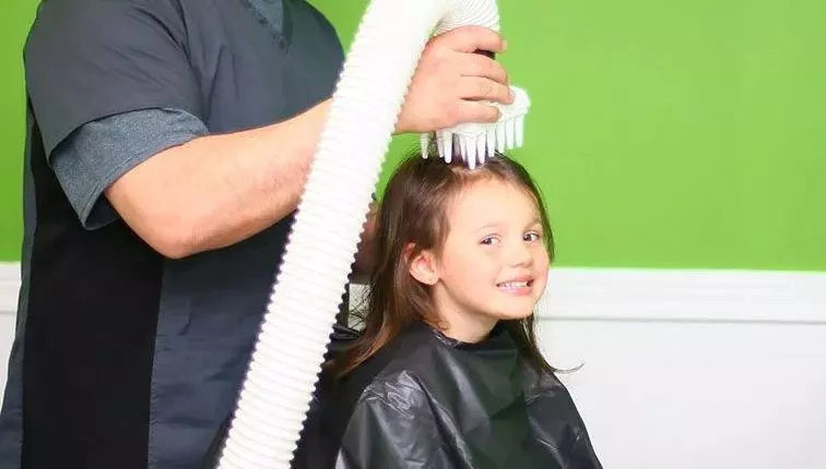 What Happens If You Leave Head Lice For Too Long?